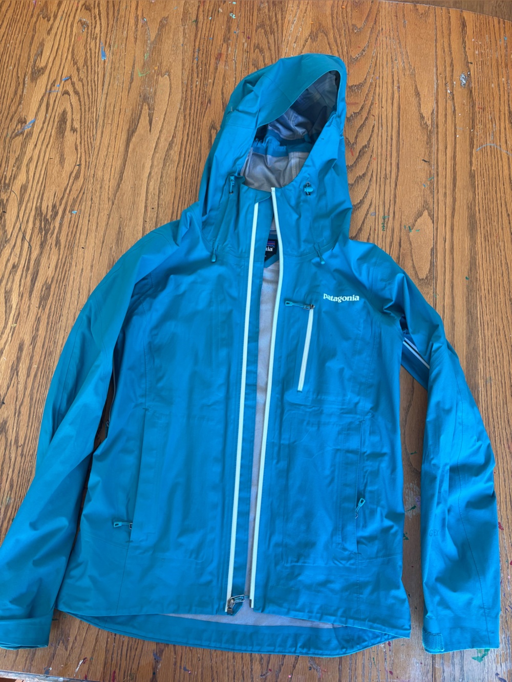Patagonia Teal Hooded Waterproof Shell Jacket